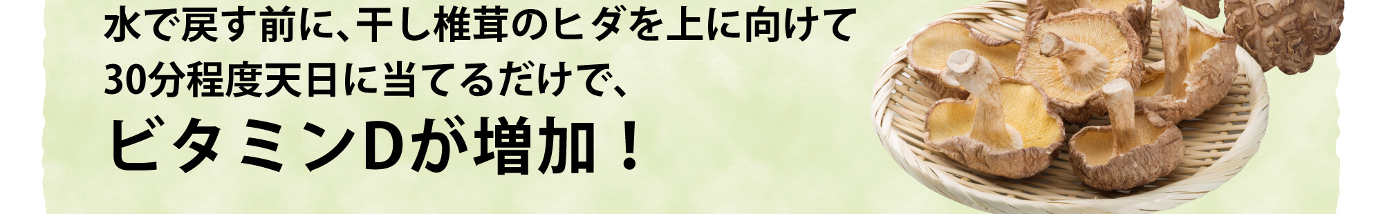 水で戻す前に、干し椎茸のヒダを上に向けて30分程度天日に当てるだけで、ビタミンDが増加!