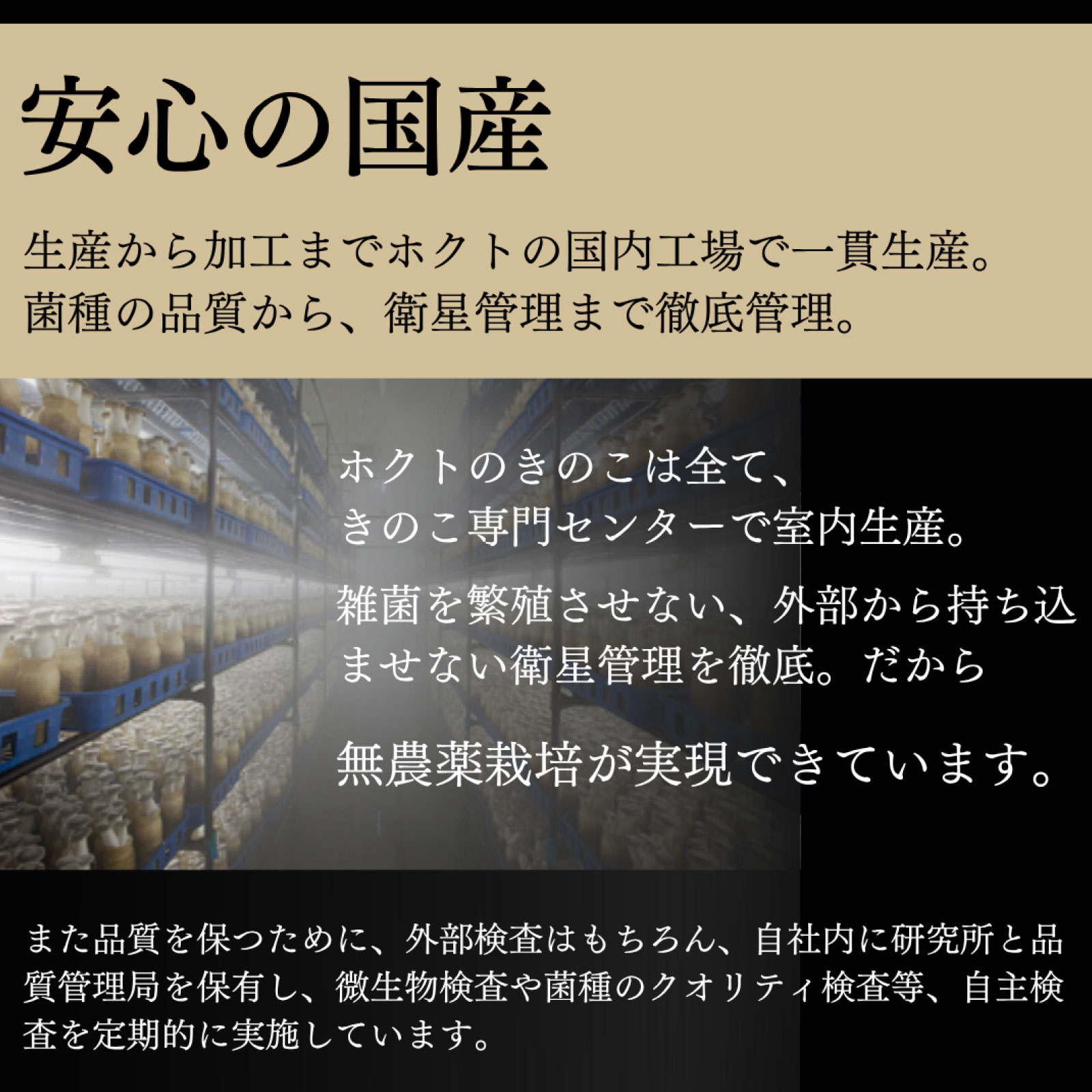 椎茸2
