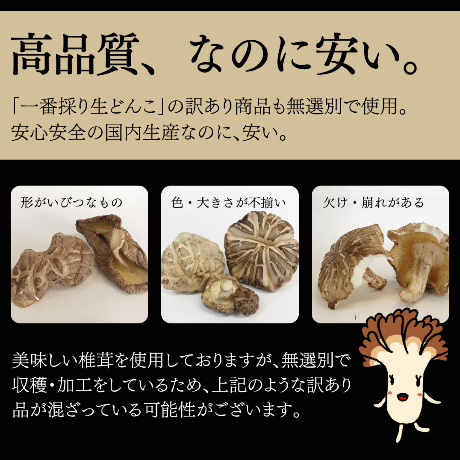 椎茸6