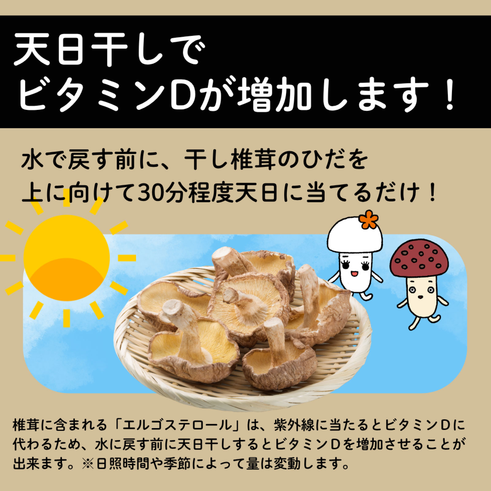 椎茸7