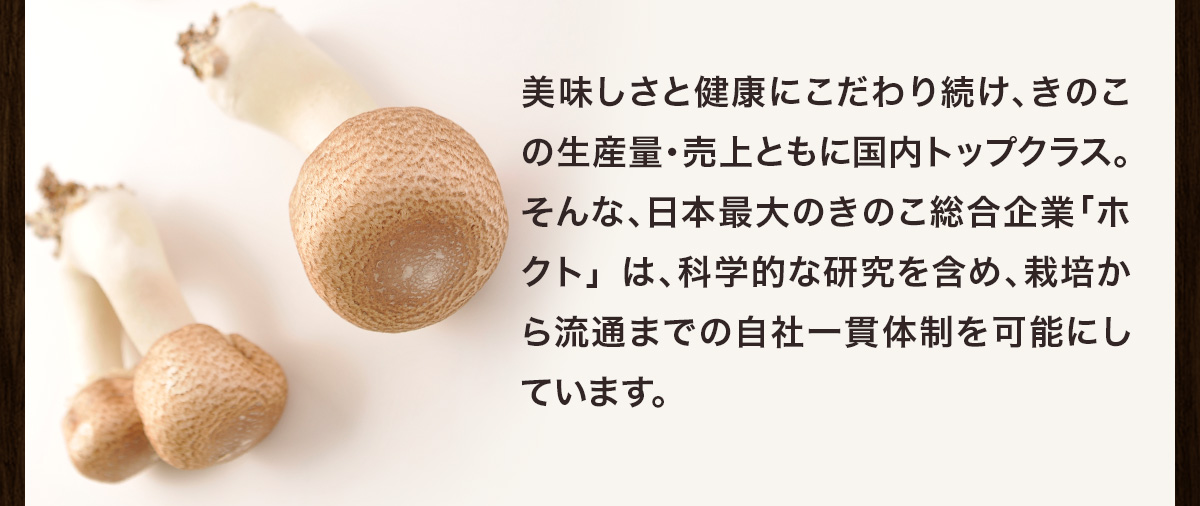 日本最大のきのこ総合企業「ホクト」は、科学的な研究を含め、栽培から流通までの自社一貫体制を可能にしています。