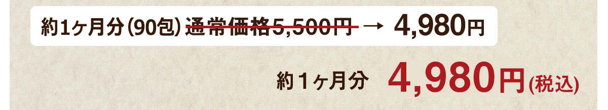 1ヶ月分 4,980円 (税込)