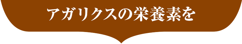 アガリクスの栄養素を