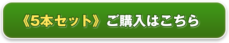 5本セットご購入はこちら