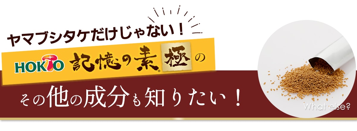 ヤマブシタケだけじゃない!その他の成分にもご注目ください! 記憶の素「極」その他の成分もすごい!
