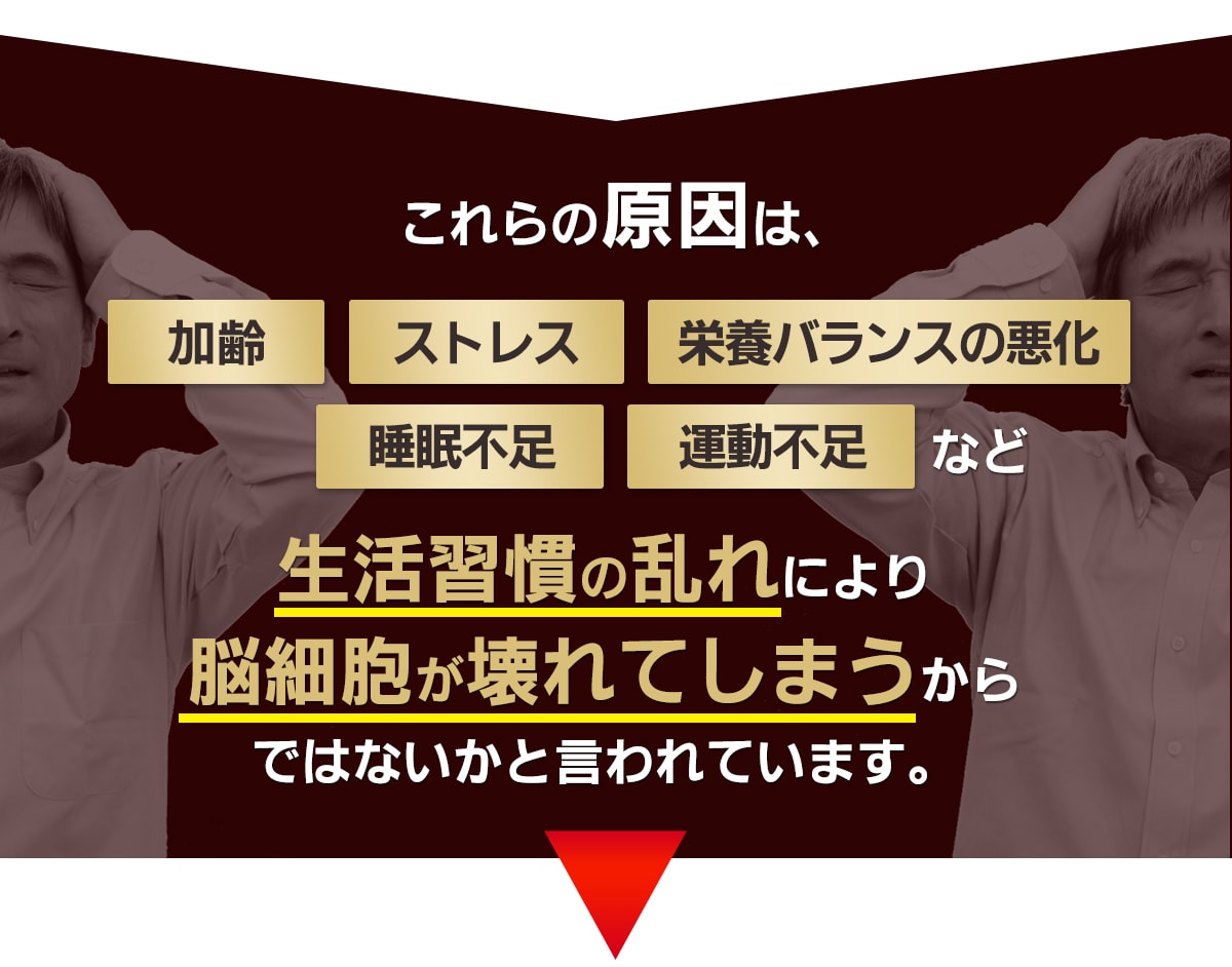 これらの原因は、生活習慣の乱れにより、脳細胞が壊れてしまうからでは･･･と言われています。