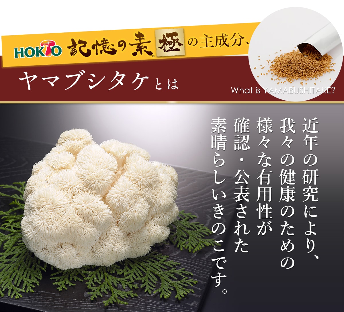 記憶の素「極」主成分ヤマブシタケとは