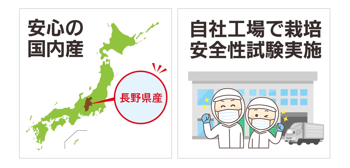 記憶の素「極」は安心の国内産、自社工場で栽培、安全性試験実施