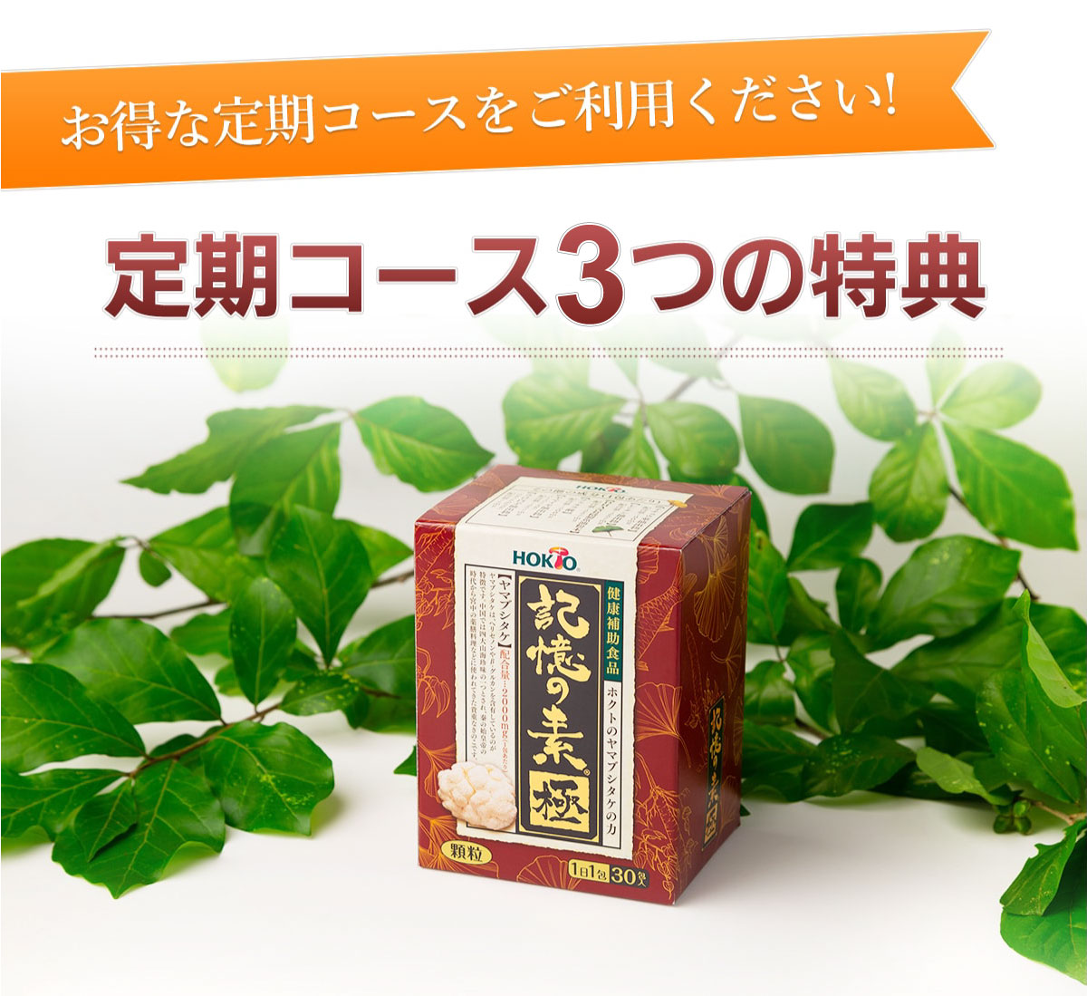 定期コースの特典をご紹介します！