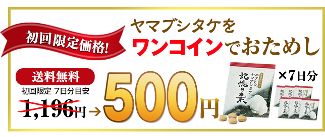 ヤマブシタケをワンコインでおためし