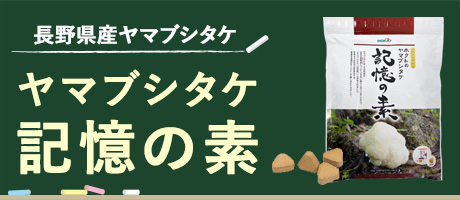 ヤマブシタケ　記憶の素