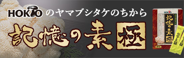 記憶の素　極