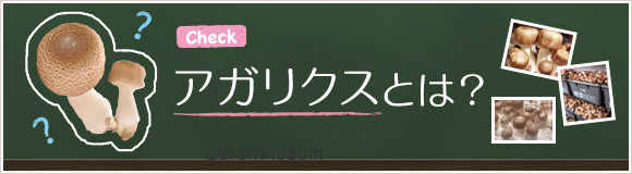 アガリクスとは？