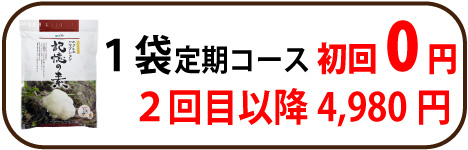251213ヤマブシ定期1