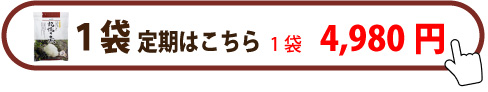 ヤマブシ定期1