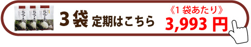 ヤマブシ定期3